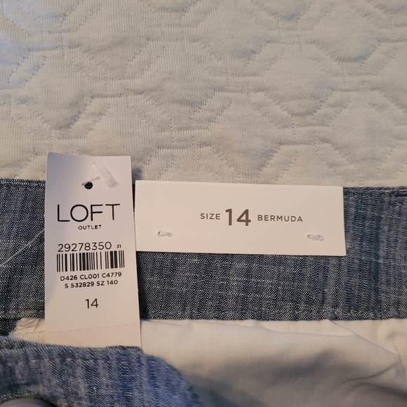 Loft Chambray Shorts - Picture 2 of 2